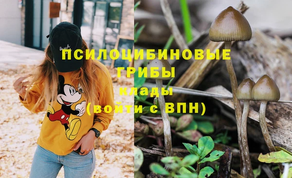 ГАЛЛЮЦИНОГЕННЫЕ ГРИБЫ Алапаевск