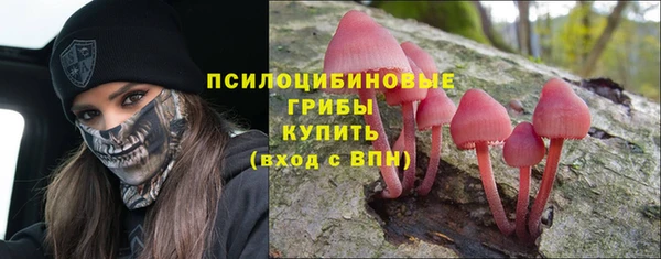 ГАЛЛЮЦИНОГЕННЫЕ ГРИБЫ Алапаевск