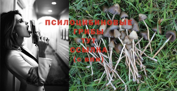 ГАЛЛЮЦИНОГЕННЫЕ ГРИБЫ Алапаевск
