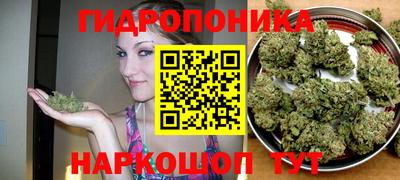 spice Волжск