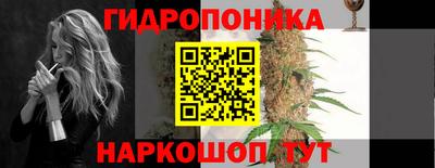 индика Азнакаево