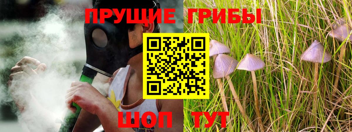 Псилоцибиновые грибы Cubensis Анжеро-Судженск