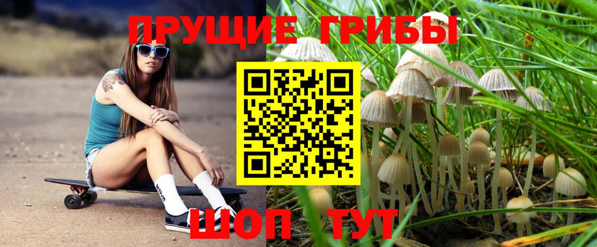Псилоцибиновые грибы MAGIC MUSHROOMS Анжеро-Судженск