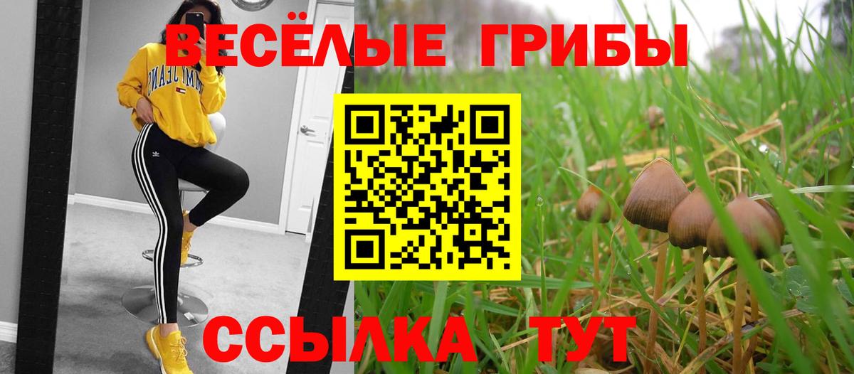 Псилоцибиновые грибы Magic Shrooms Анжеро-Судженск